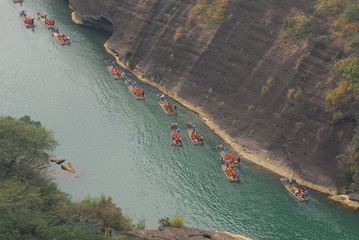 适合冬天种植的植物种类-