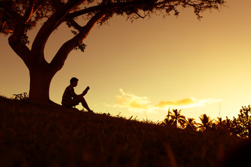 适合冬天种植的植物种类-
