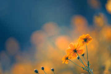 科普童话新课堂期刊正规吗