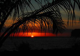 小学生安全科普手抄报 小学生安全手抄报