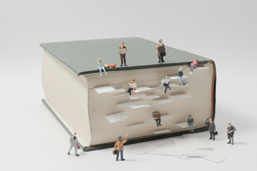 适合冬天种植的植物种类-