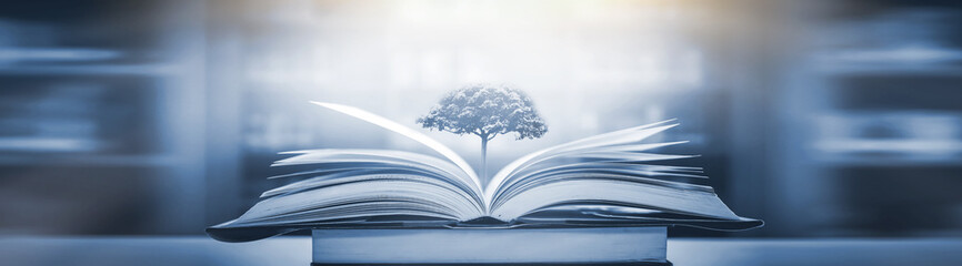 学生会团日活动策划方案