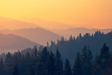 科一扣分136912记不住