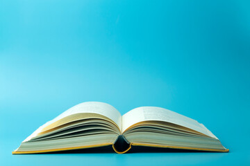 适合冬天种植的植物种类-