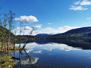 汽车车牌号码测吉凶