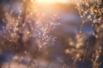科普童话新课堂期刊正规吗