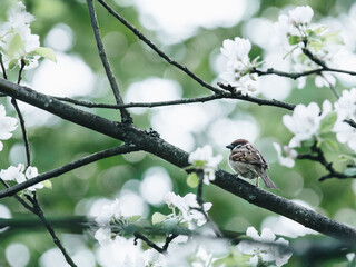10万元左右的SUV 买这四款车家用省油还有面子 懂车人都会选