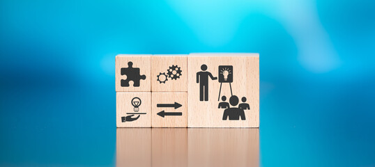 适合冬天种植的植物种类-