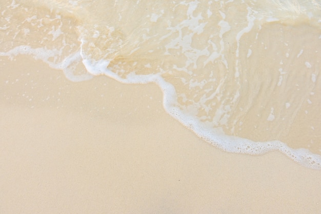 老年健康活动周宣传总结