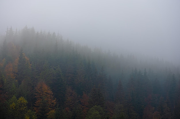 广东车牌26个字母分别为各个市