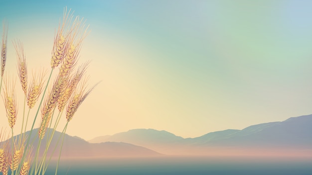 不配倒车雷达的汽车可以自己装一个雷达吗？