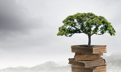 如何从认识意义的角度理解科学的本质