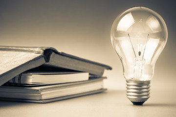 适合冬天种植的植物种类-