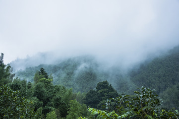 全球最伟大的物理学家